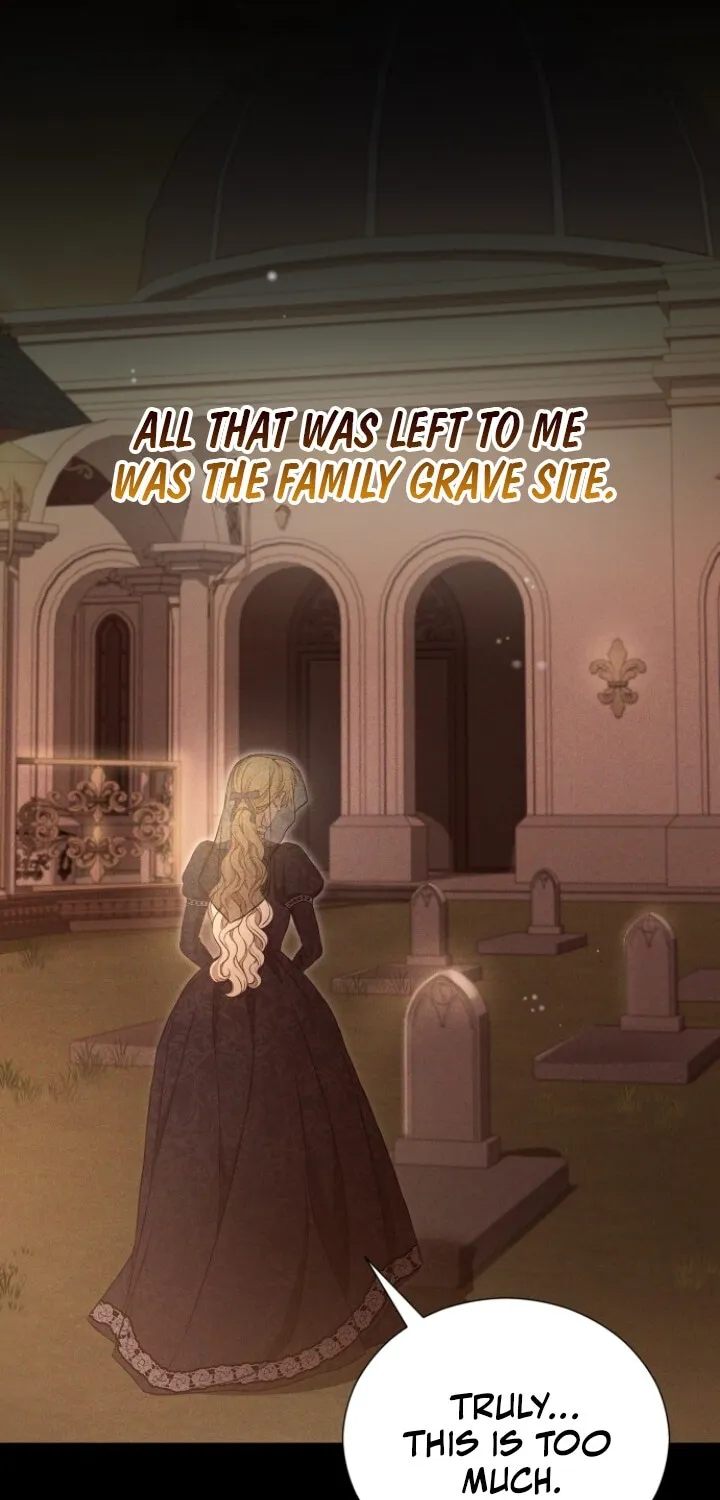 The Countess’s Secret Chapter 15 page 30 - 