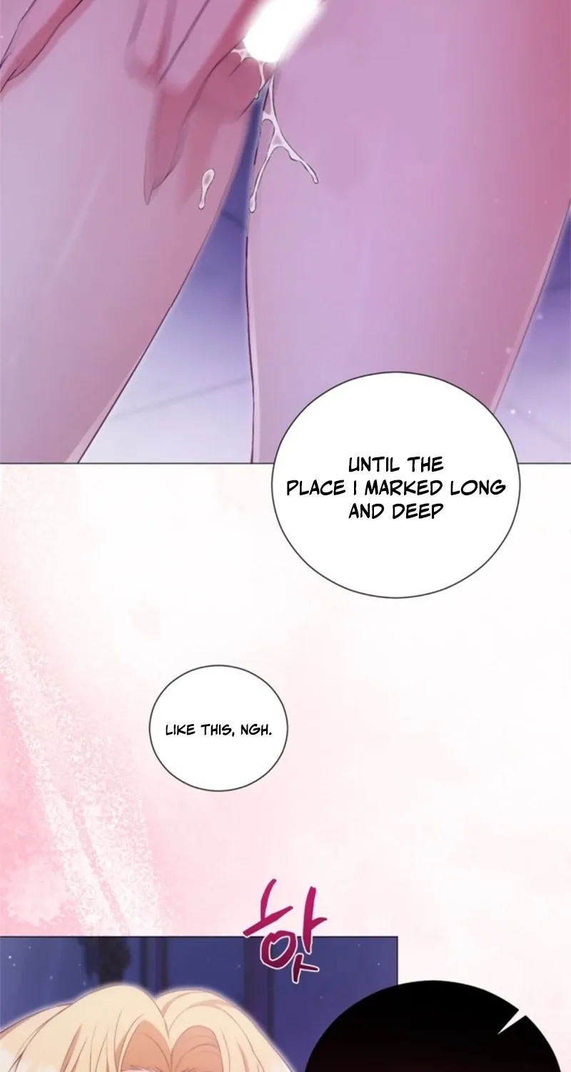 The Countess’s Secret Chapter 17 page 47 - 