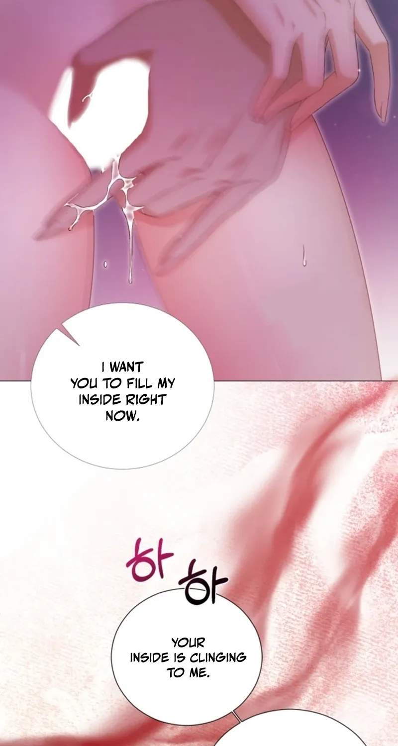 The Countess’s Secret Chapter 17 page 68 - 