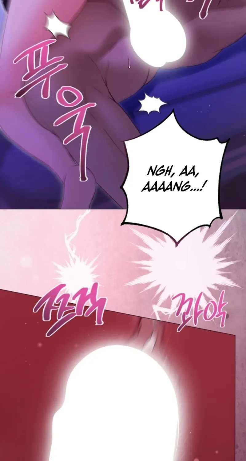 The Countess’s Secret Chapter 20 page 47 - 
