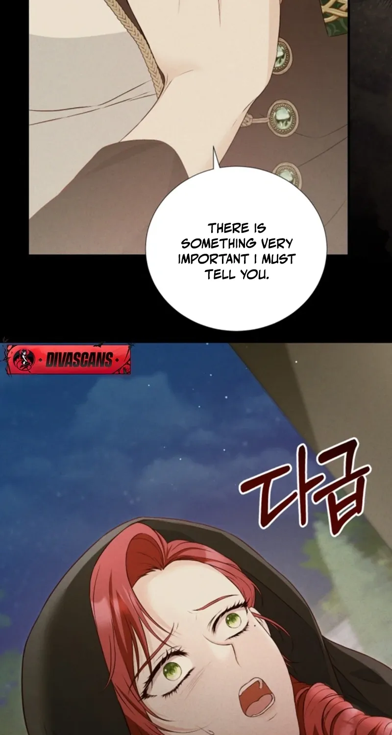The Countess’s Secret Chapter 21 page 41 - 