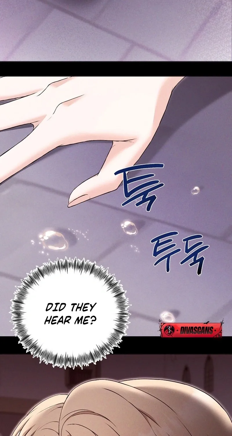 The Countess’s Secret Chapter 24 page 66 - 