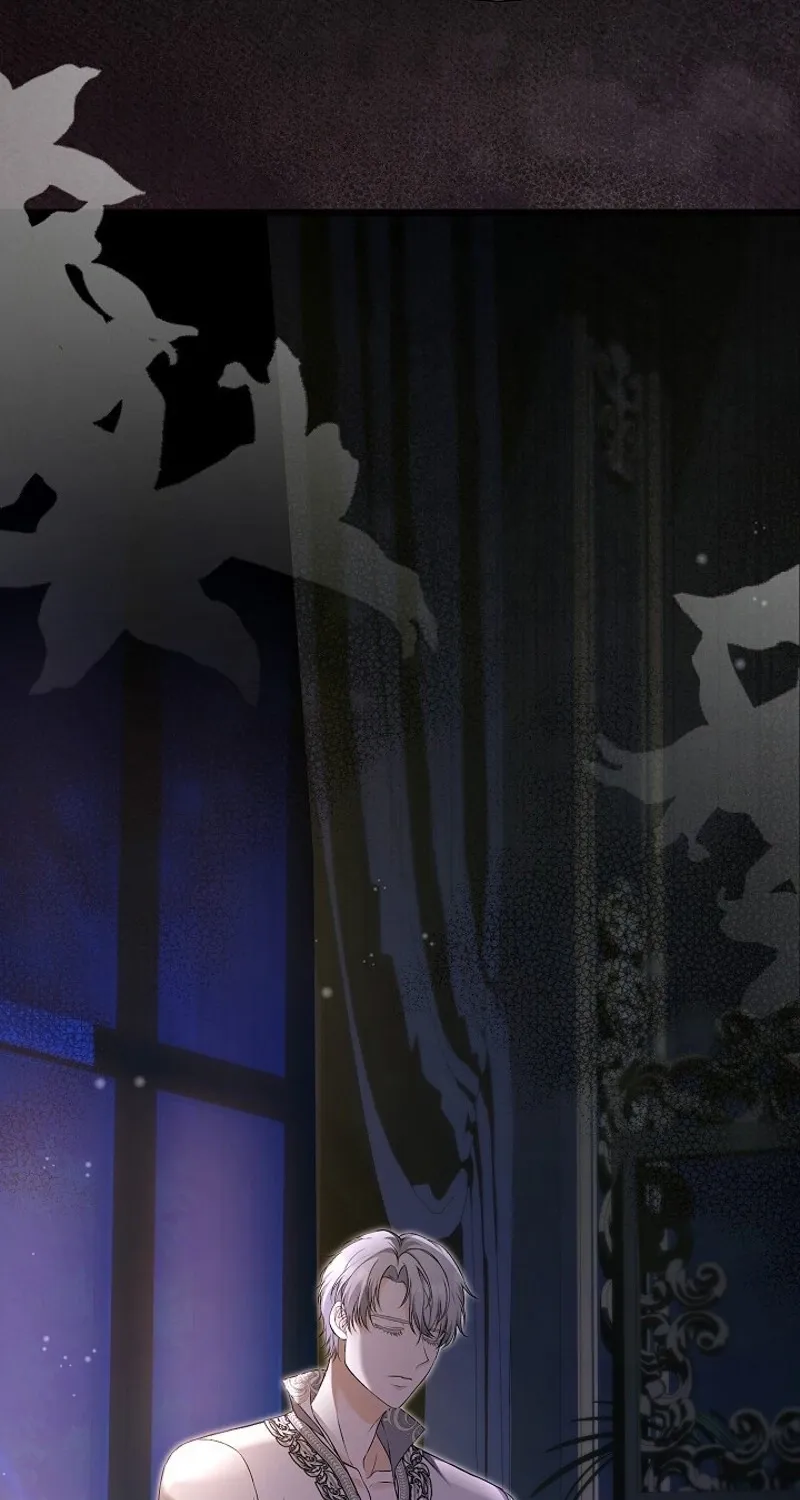 The Countess’s Secret Chapter 25 page 71 - 