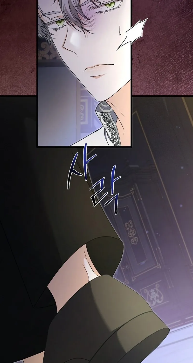 The Countess’s Secret Chapter 25 page 79 - 