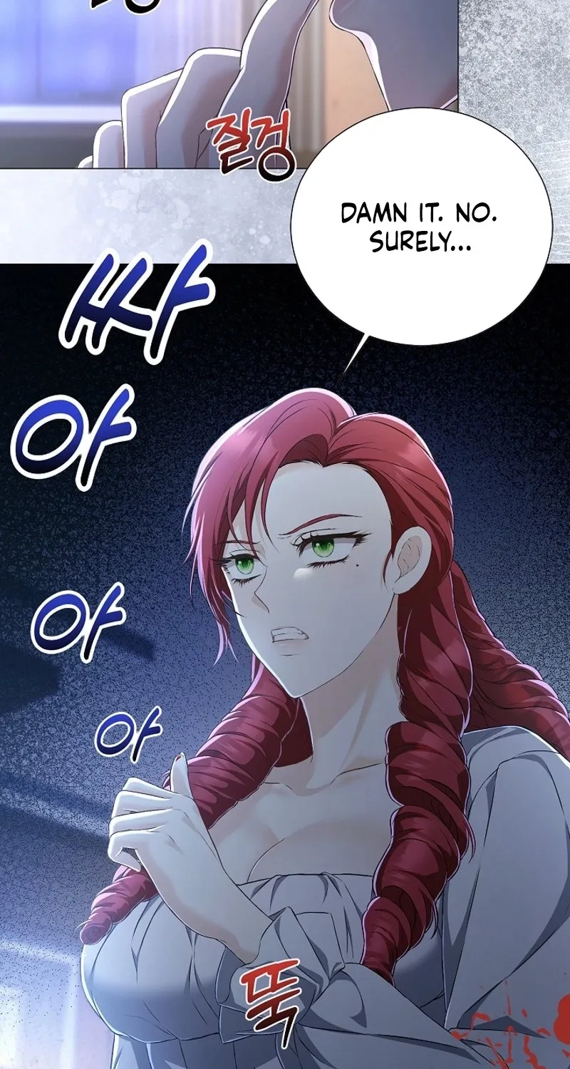 The Countess’s Secret Chapter 26 page 14 - 