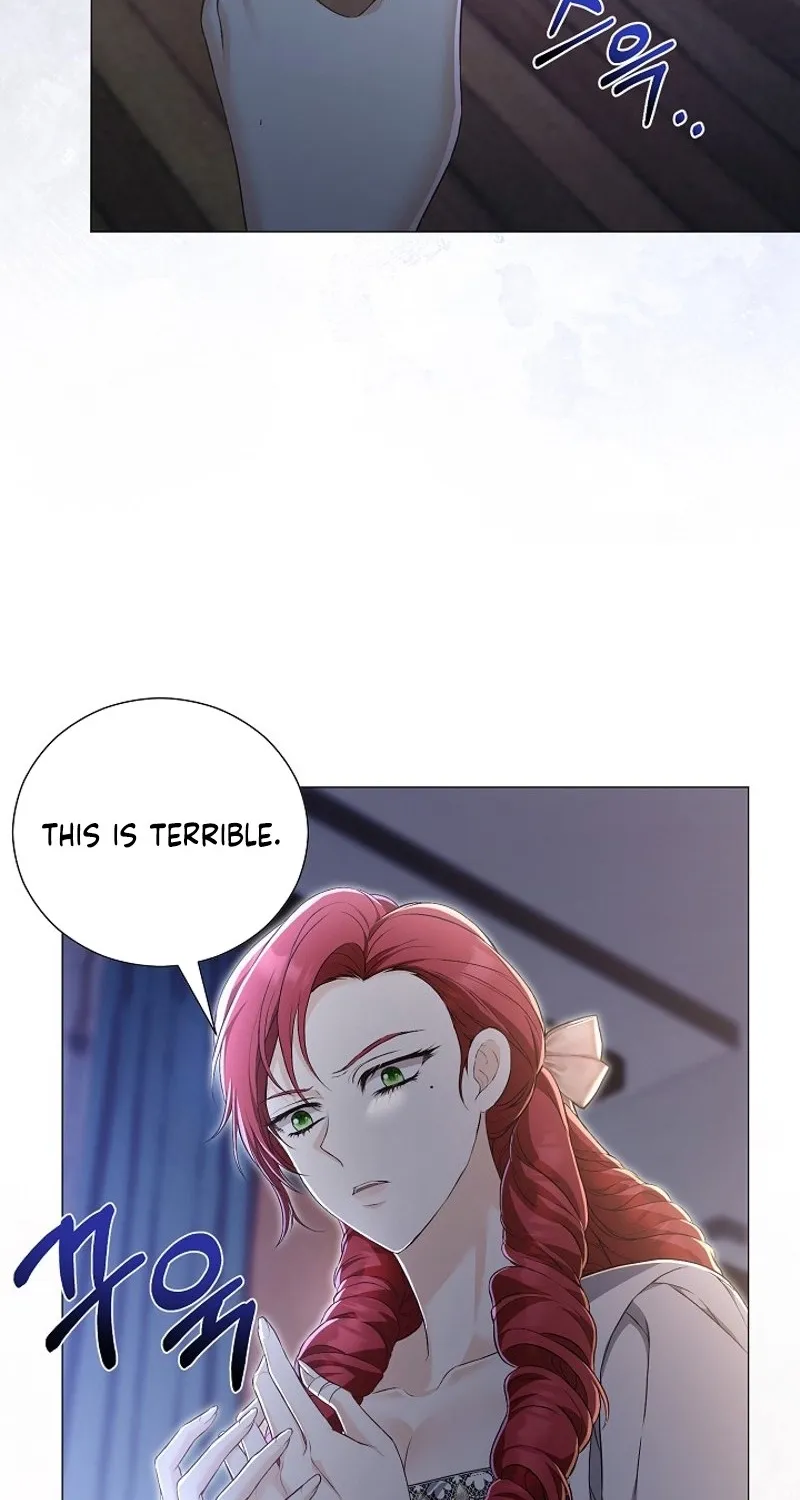 The Countess’s Secret Chapter 26 page 16 - 