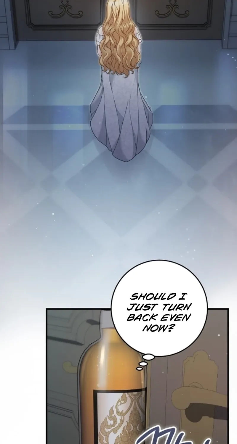 The Countess’s Secret Chapter 27 page 3 - 