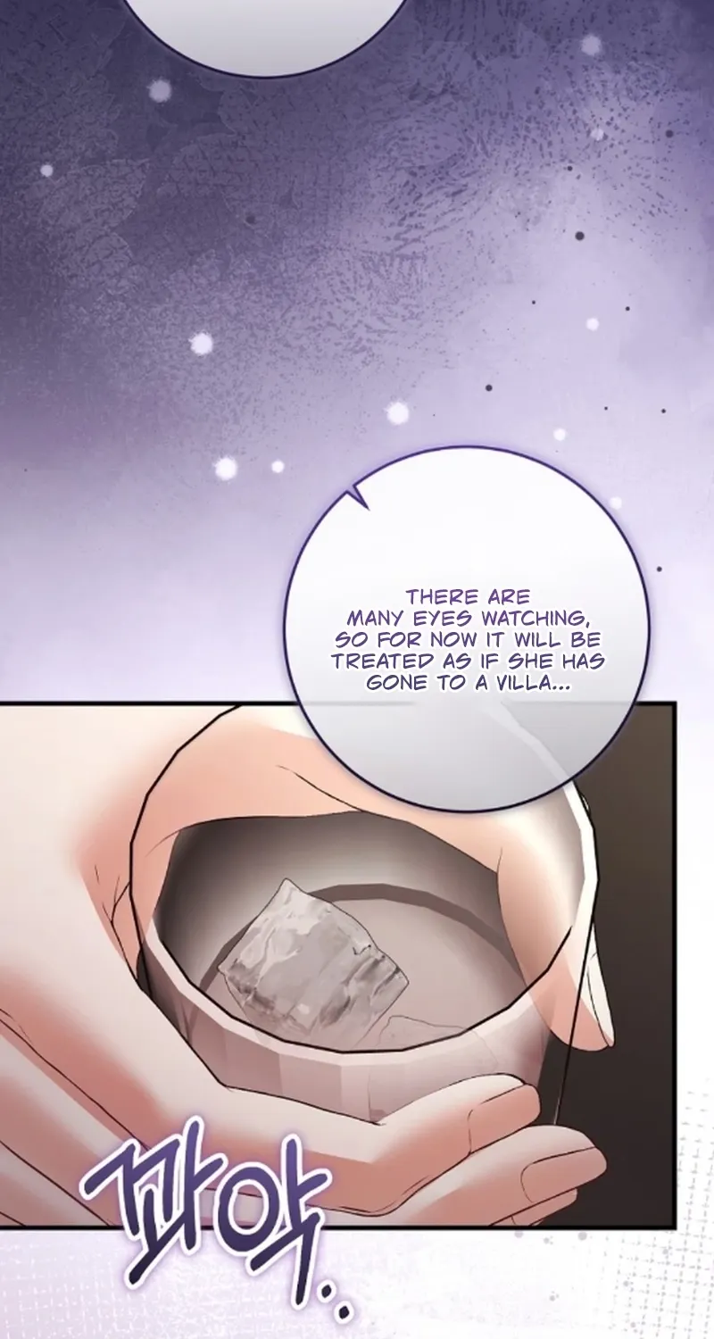The Countess’s Secret Chapter 27 page 40 - 
