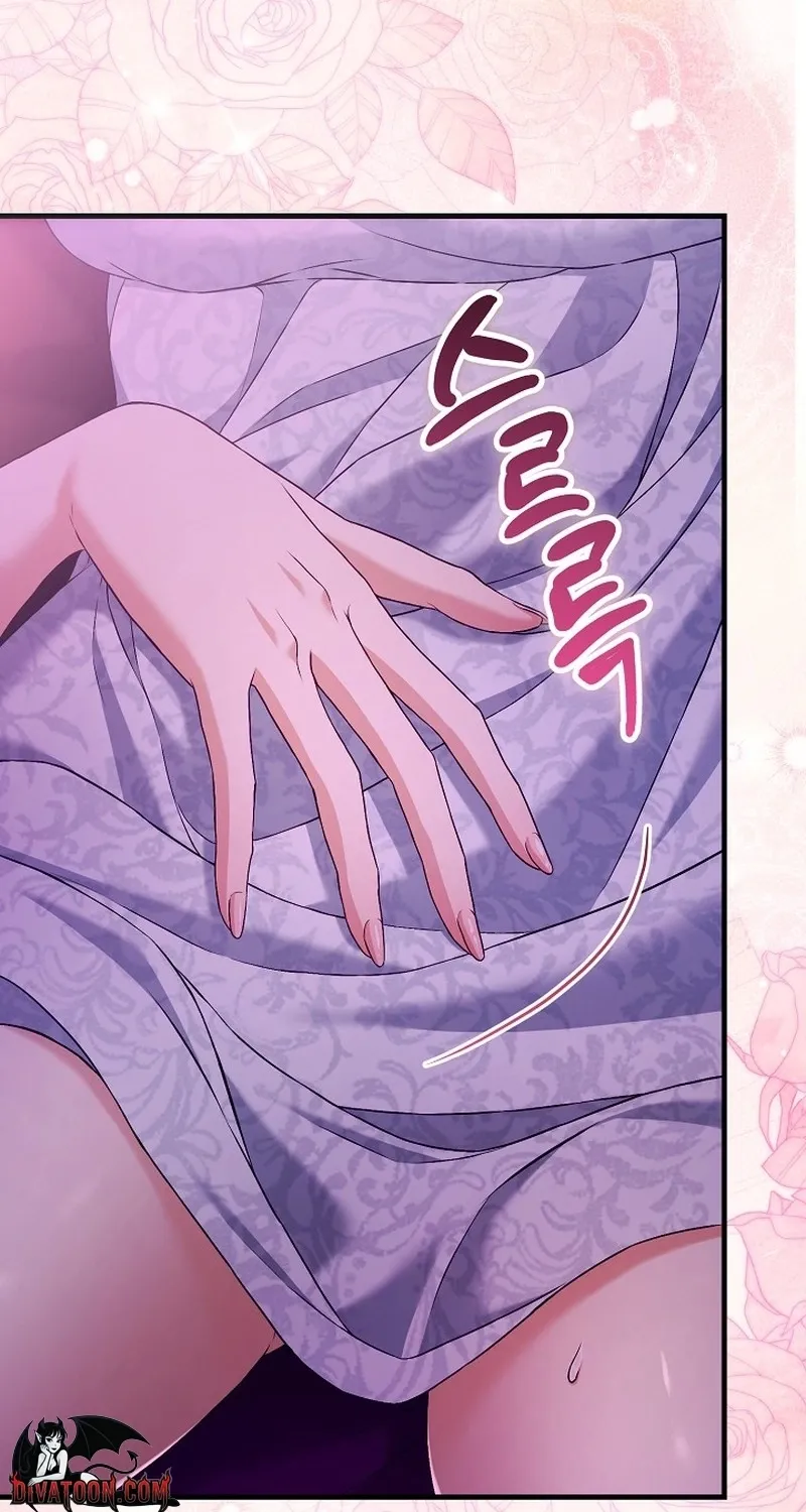 The Countess’s Secret Chapter 28 page 17 - 
