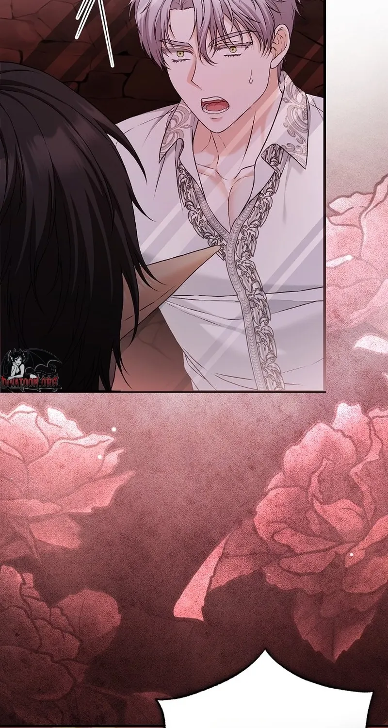 The Countess’s Secret Chapter 29 page 17 - 