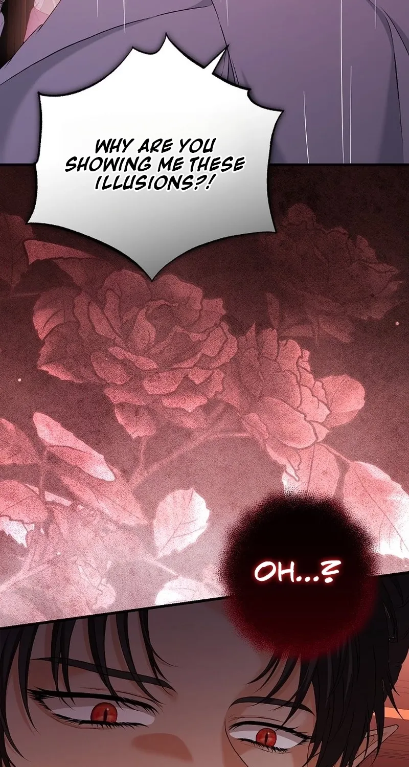 The Countess’s Secret Chapter 29 page 19 - 