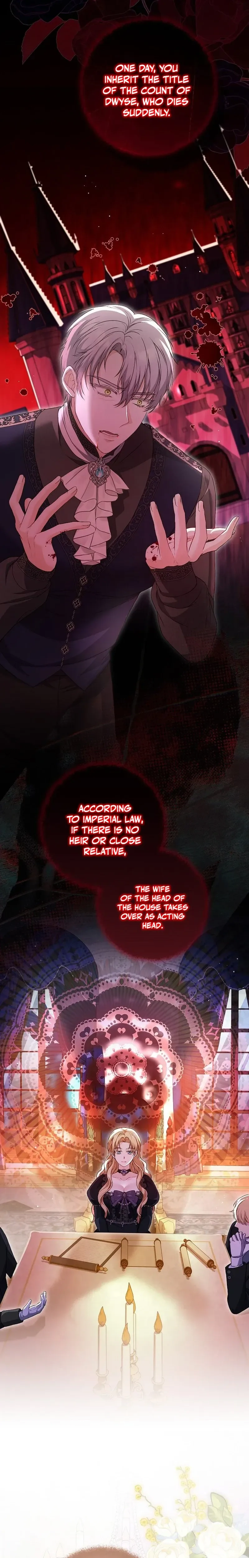 The Countess’s Secret Chapter 30 page 17 - 