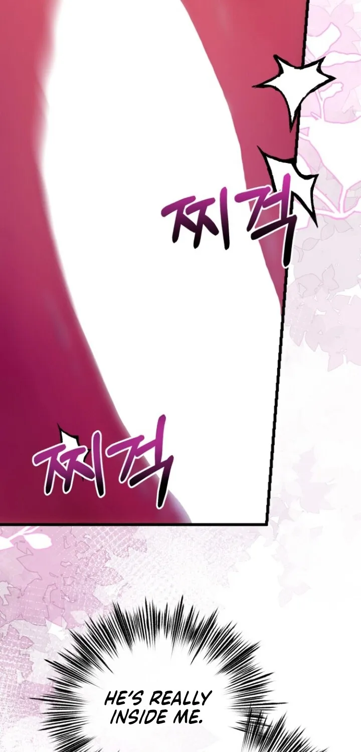 The Countess’s Secret Chapter 9 page 19 - 