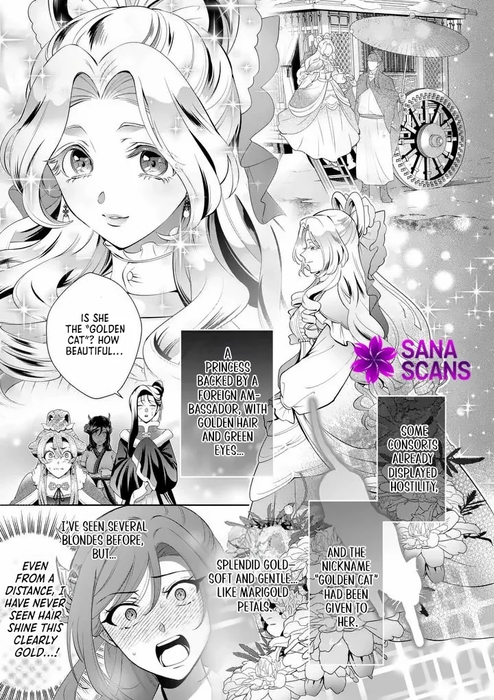 The Courtyard Hairdresser Lives Beside the Moon Chapter 1 page 38 - 
