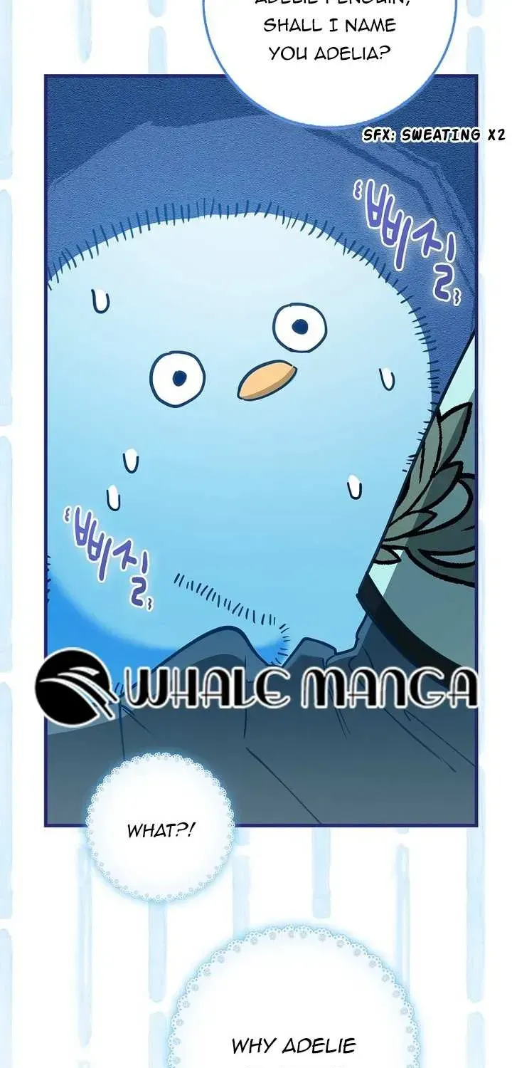 The Crazy Killer Whale’s Favourite Penguin Chapter 1.1 page 37 - 