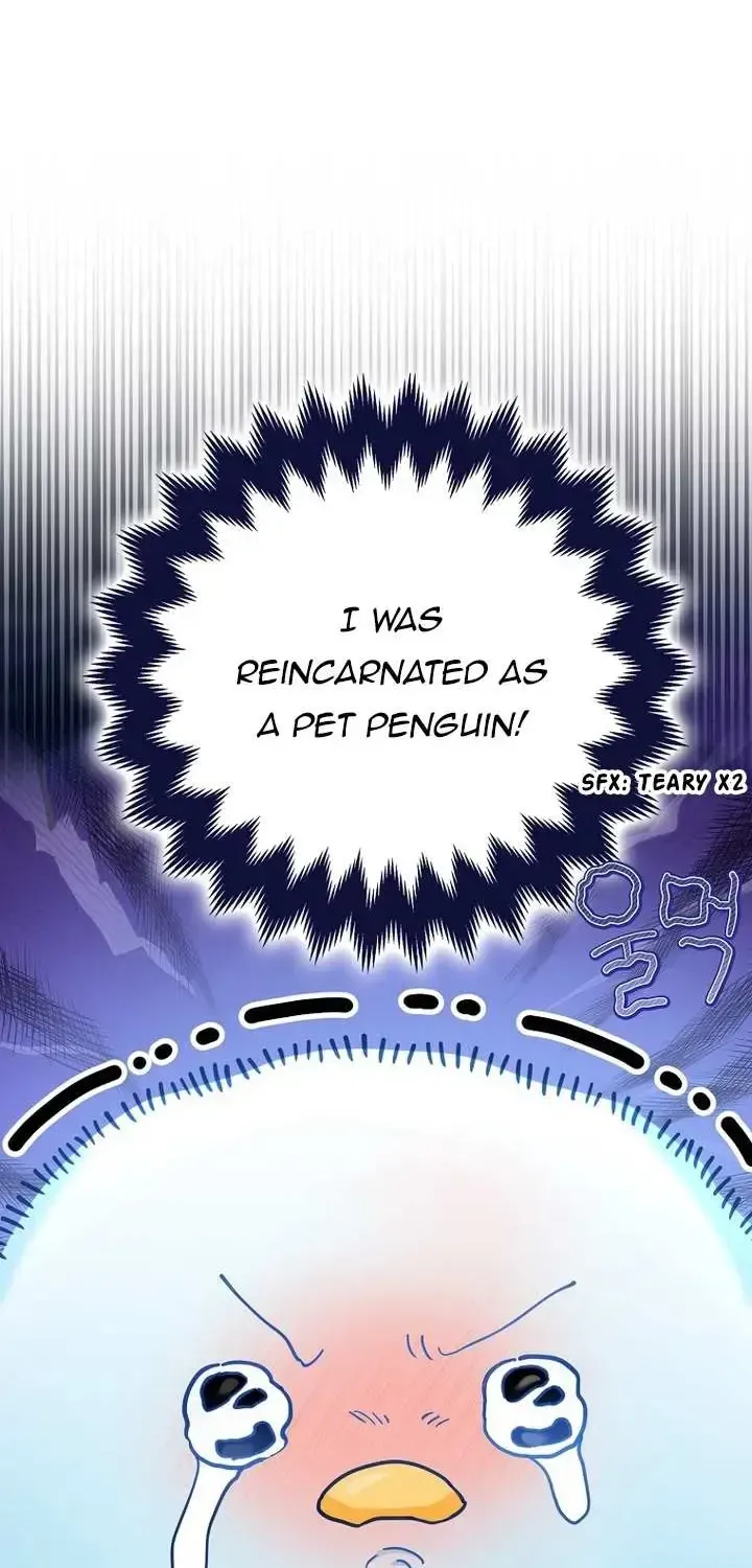The Crazy Killer Whale’s Favourite Penguin Chapter 1.1 page 47 - 