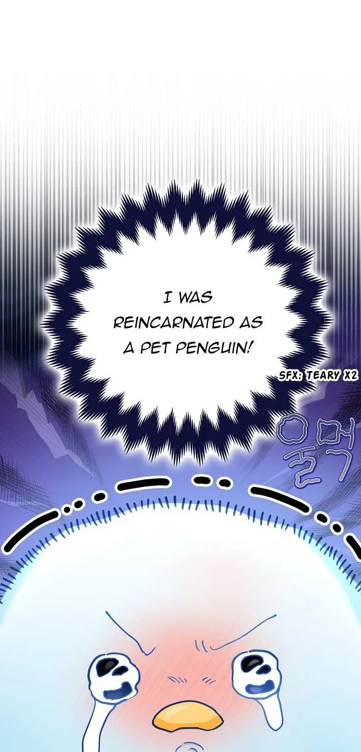 The Crazy Killer Whale’s Favourite Penguin Chapter 1 page 48 - 