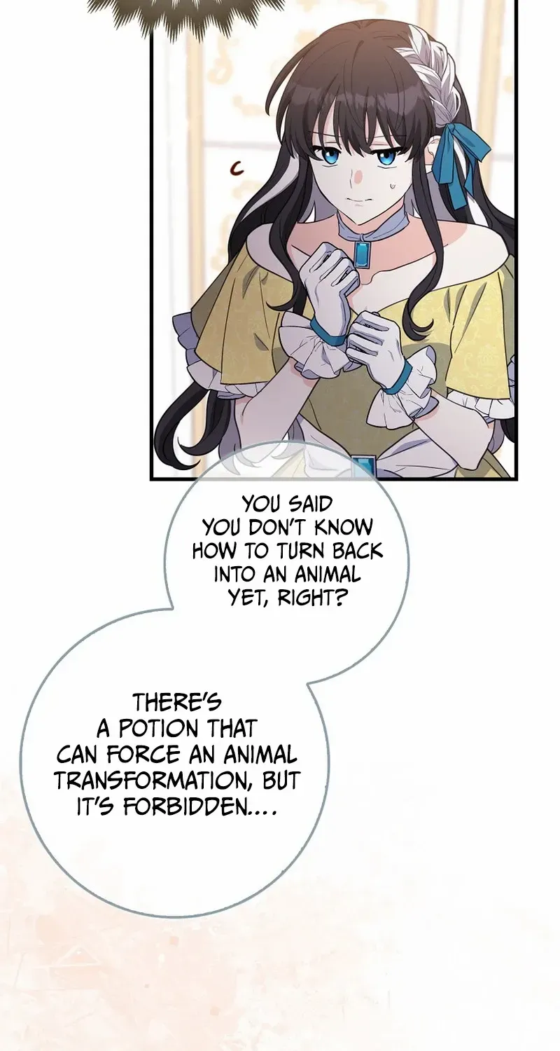 The Crazy Killer Whale’s Favourite Penguin Chapter 12 page 48 - 