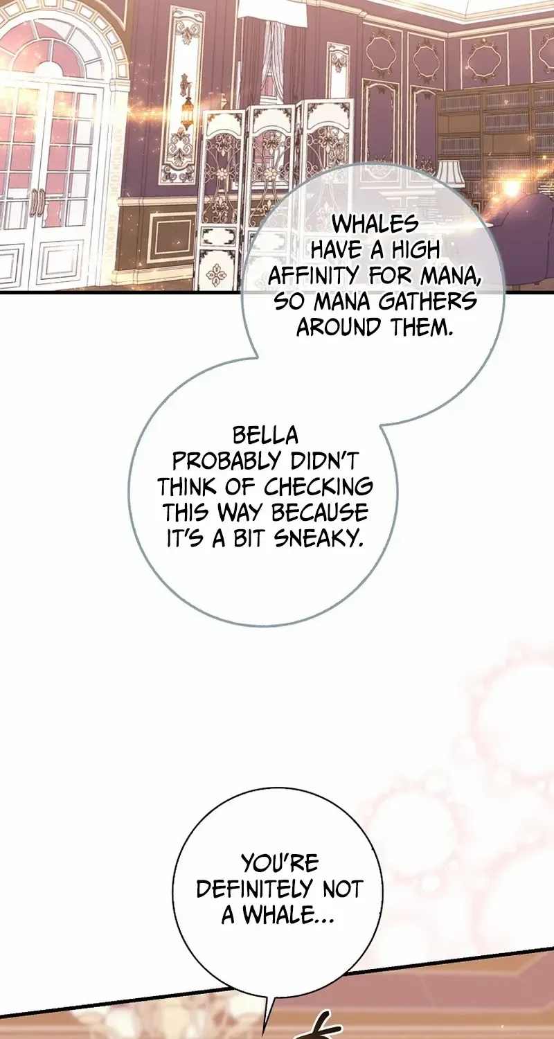 The Crazy Killer Whale’s Favourite Penguin Chapter 12 page 61 - 