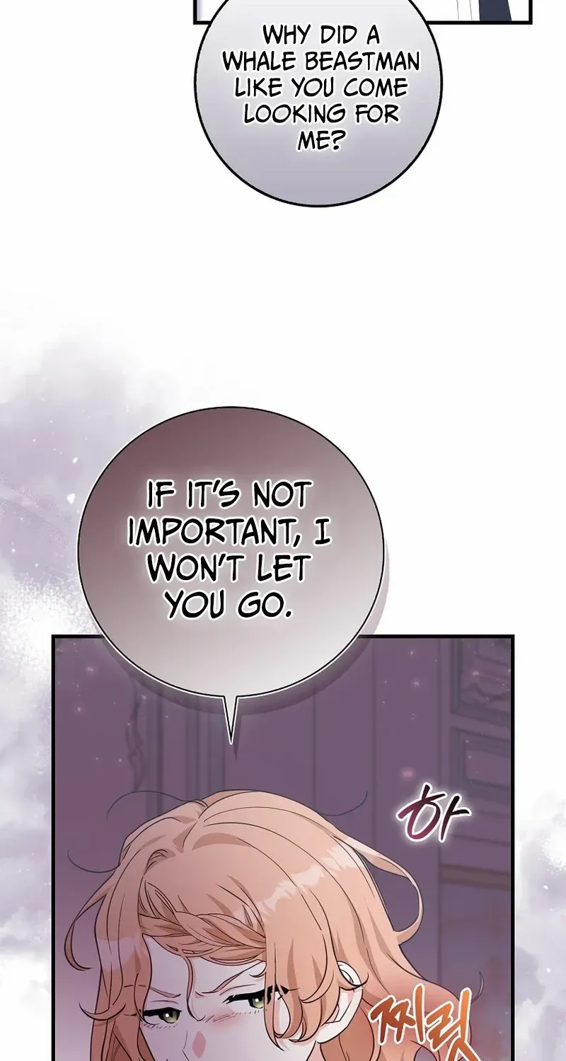The Crazy Killer Whale’s Favourite Penguin Chapter 14 page 11 - 