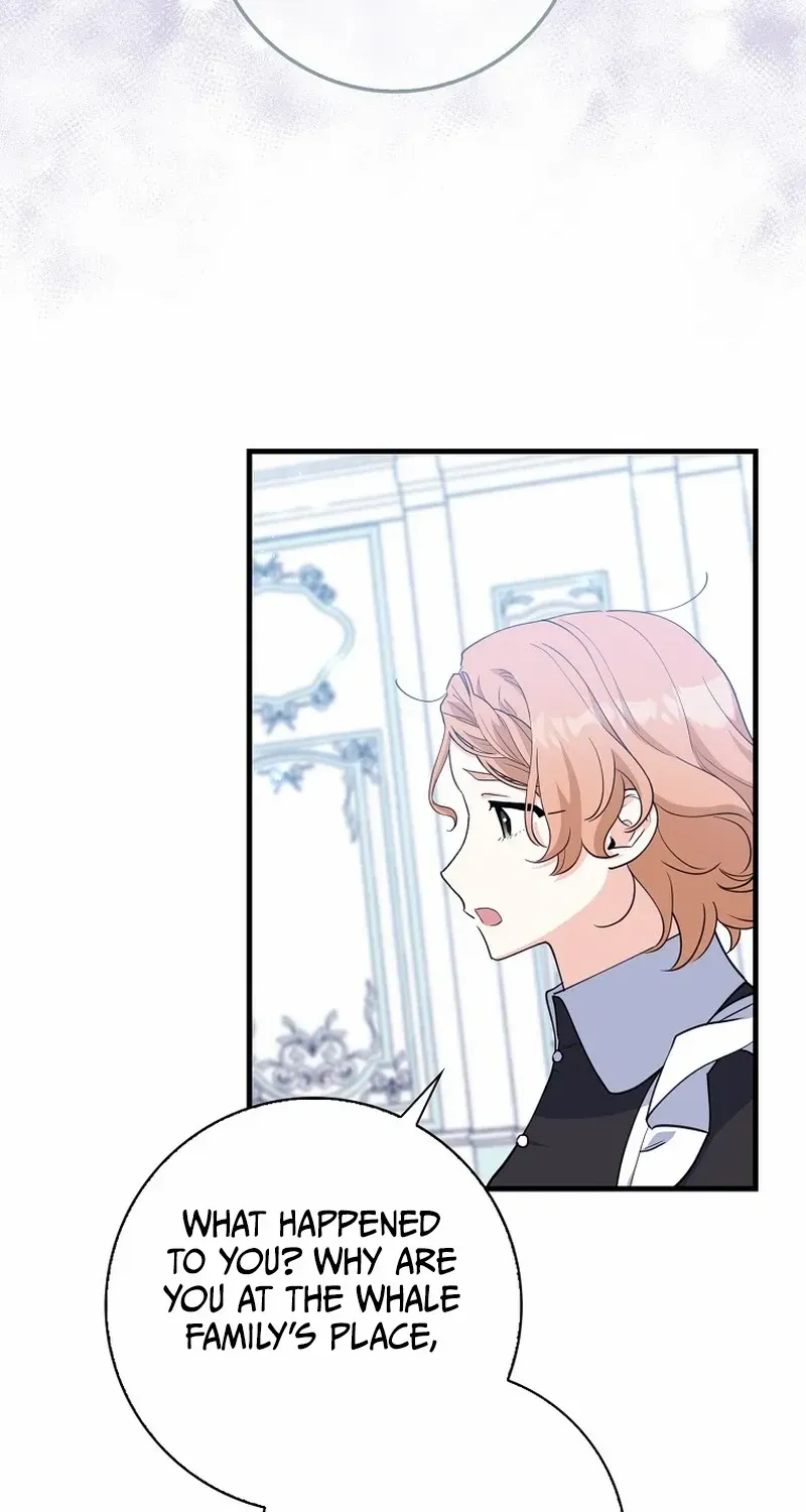 The Crazy Killer Whale’s Favourite Penguin Chapter 14 page 42 - 