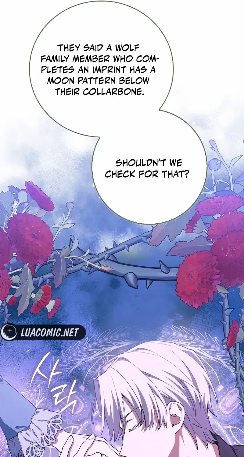 The Crazy Killer Whale’s Favourite Penguin Chapter 17 page 28 - 