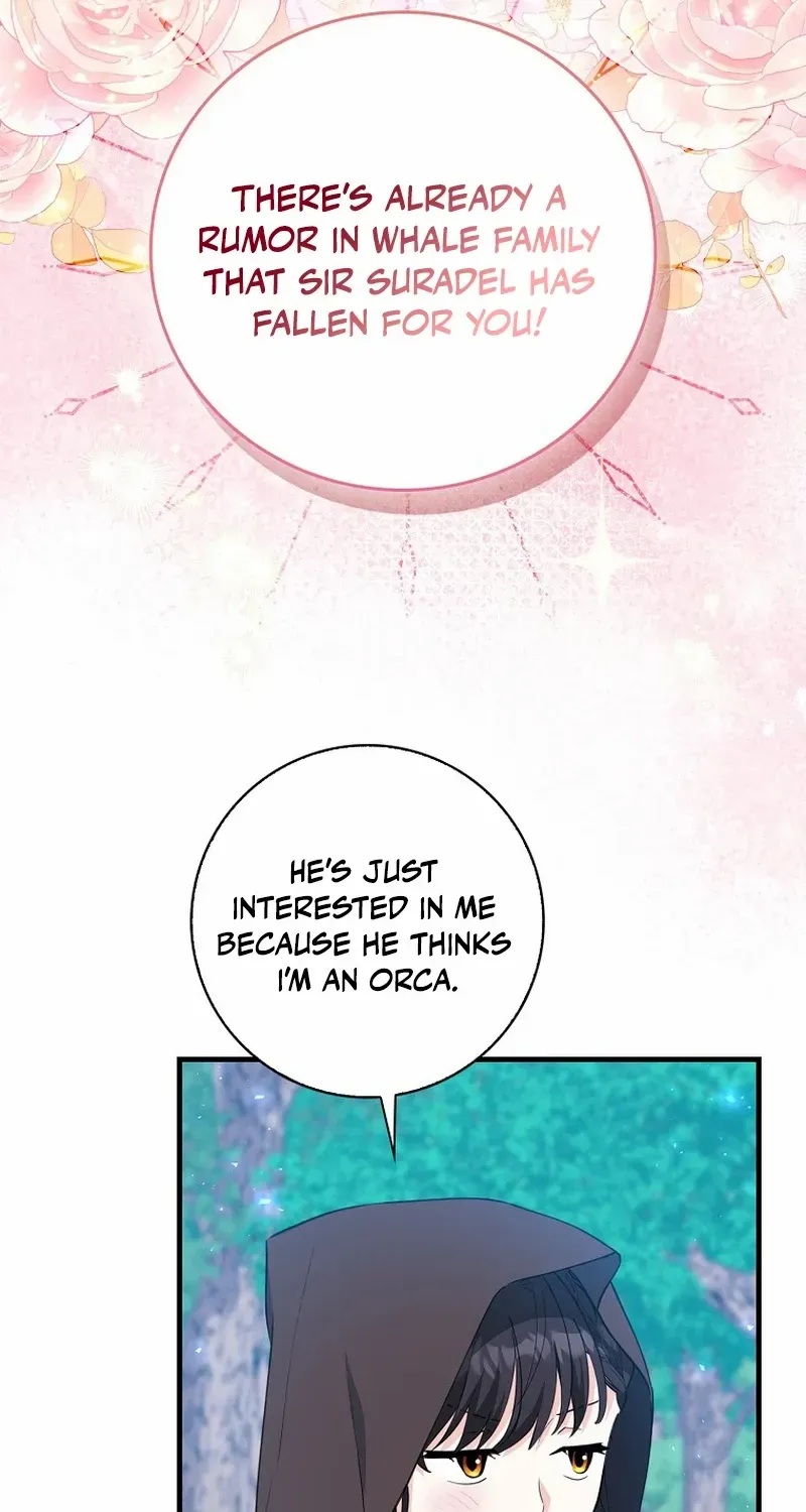 The Crazy Killer Whale’s Favourite Penguin Chapter 17 page 43 - 