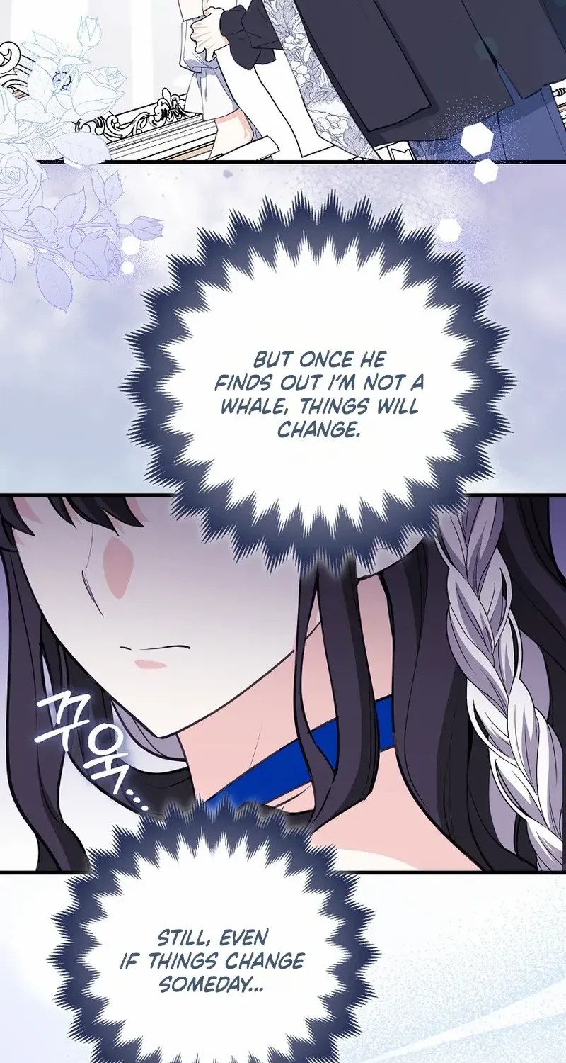 The Crazy Killer Whale’s Favourite Penguin Chapter 19 page 3 - 