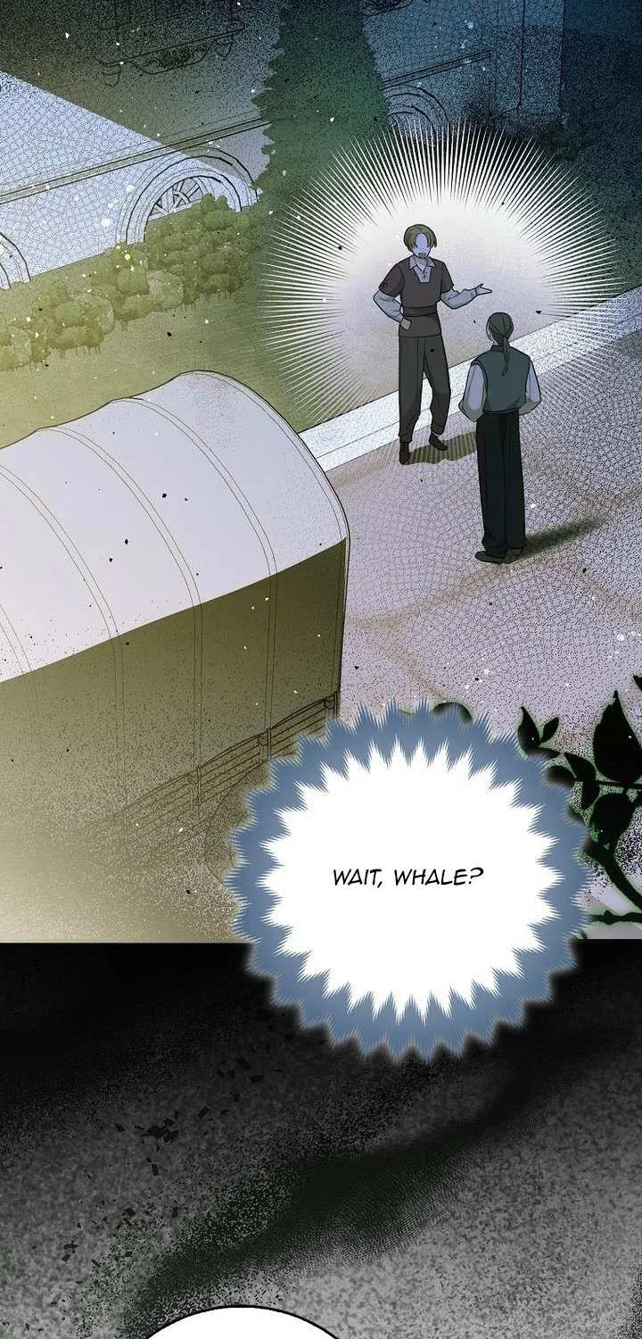 The Crazy Killer Whale’s Favourite Penguin Chapter 2 page 54 - 