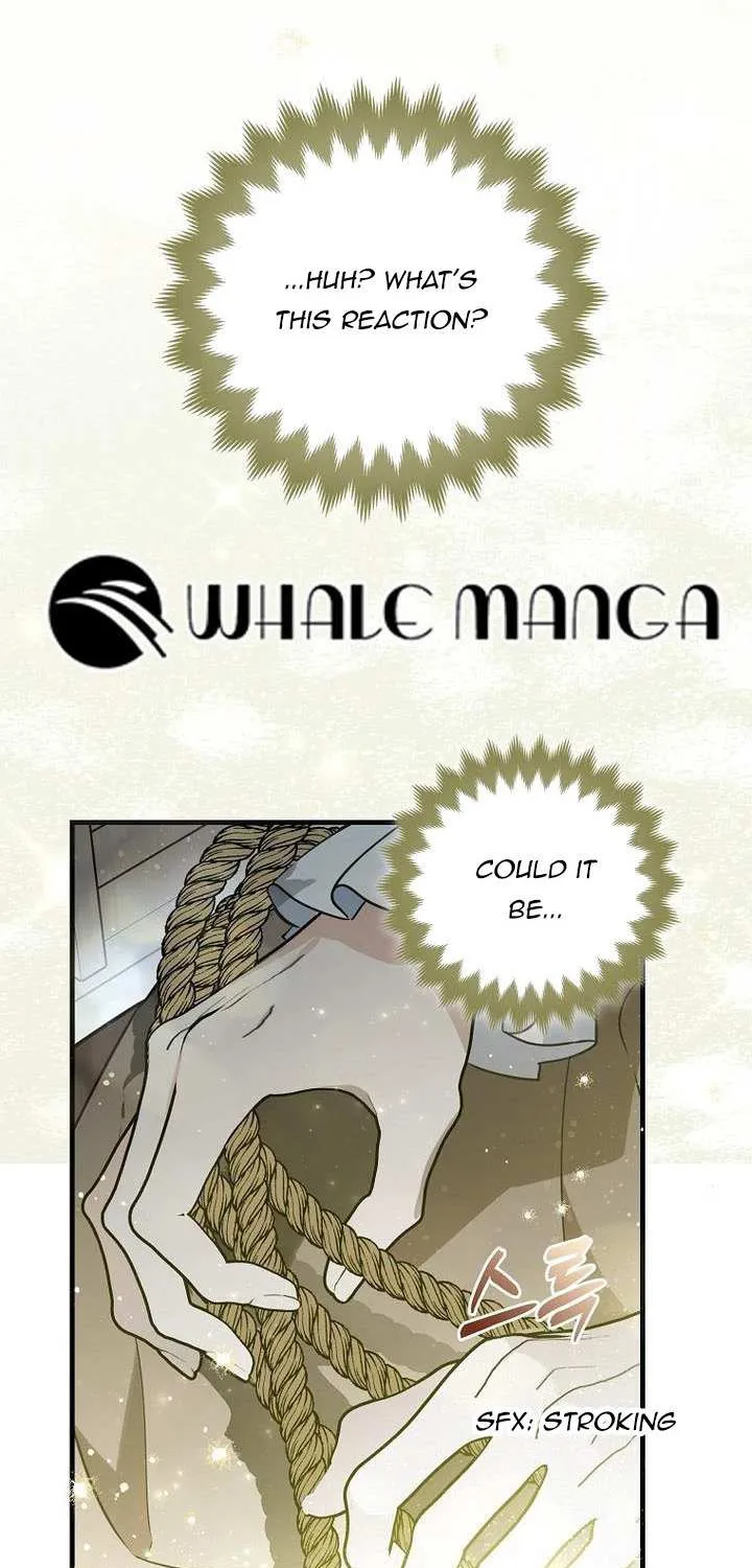 The Crazy Killer Whale’s Favourite Penguin Chapter 2 page 75 - 