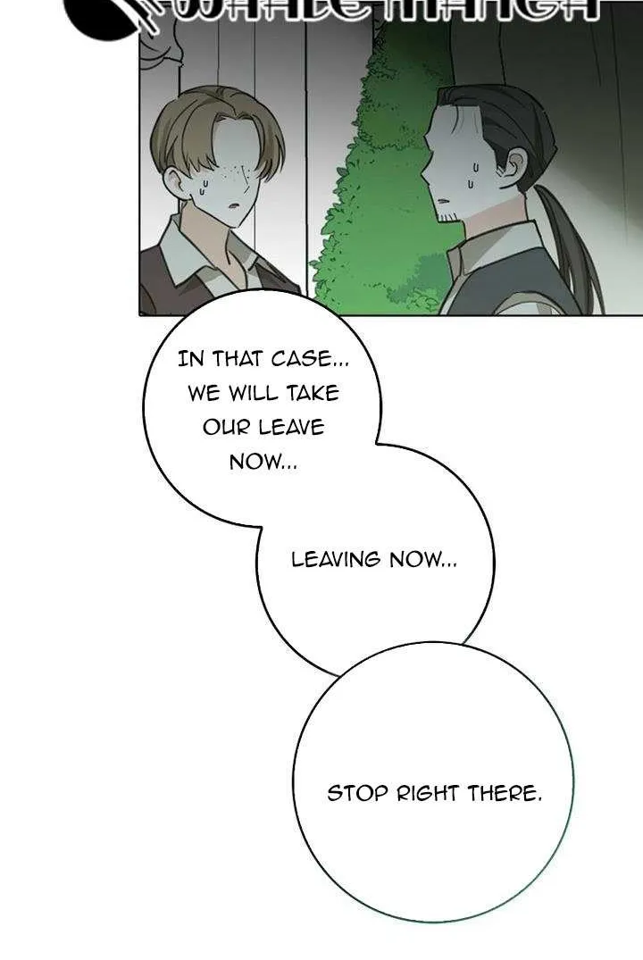 The Crazy Killer Whale’s Favourite Penguin Chapter 2 page 80 - 