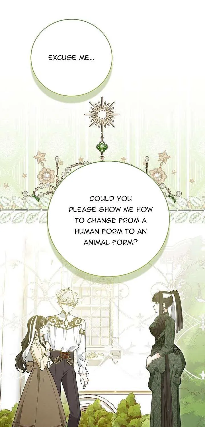 The Crazy Killer Whale’s Favourite Penguin Chapter 2 page 93 - 