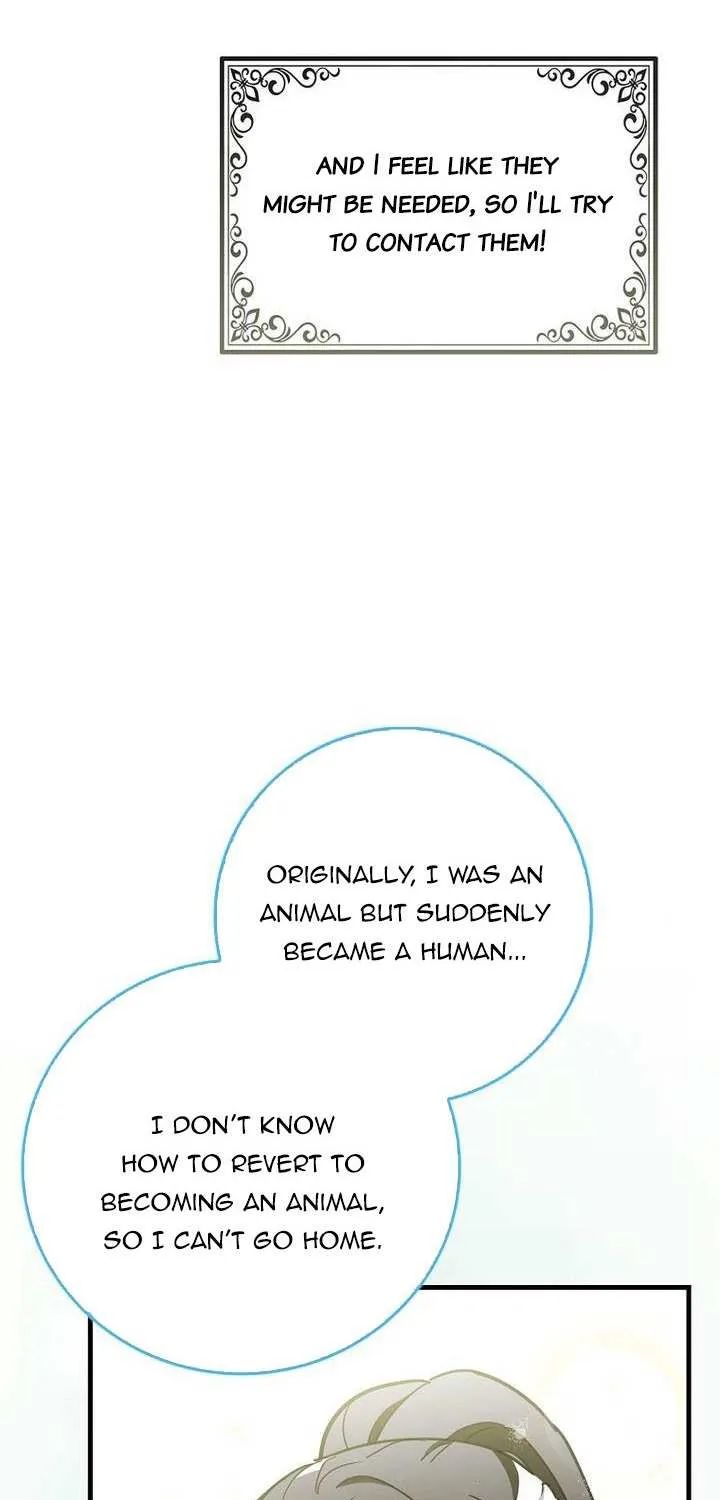 The Crazy Killer Whale’s Favourite Penguin Chapter 2 page 95 - 