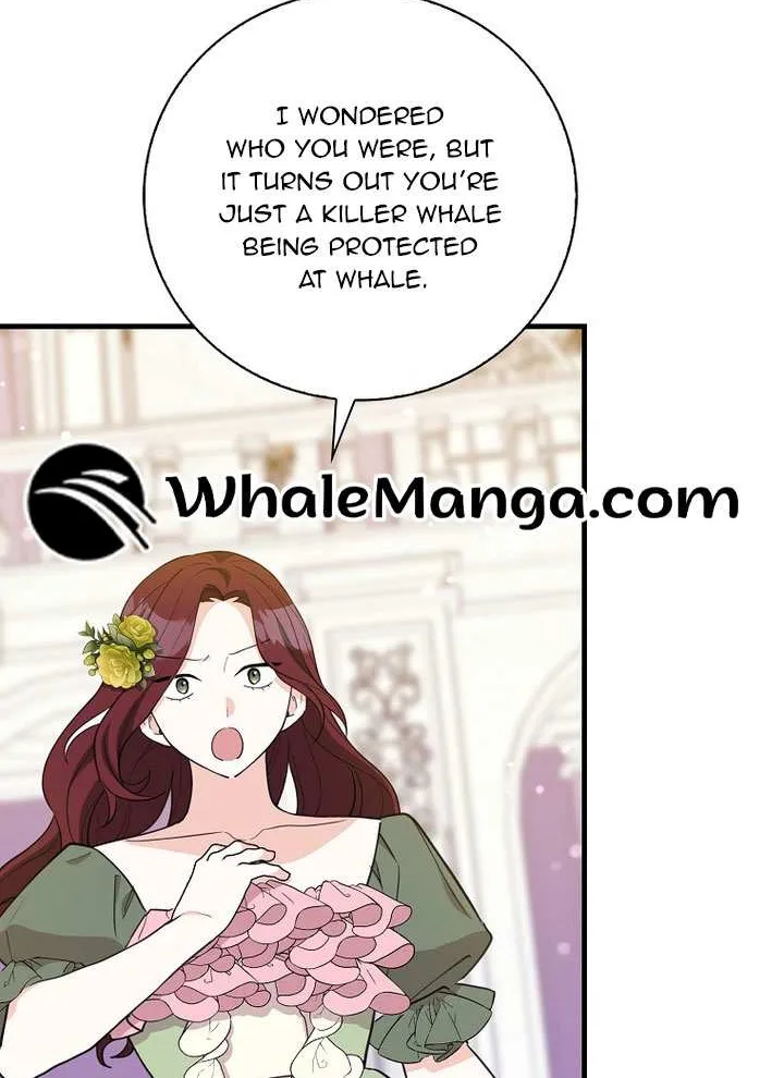 The Crazy Killer Whale’s Favourite Penguin Chapter 25 page 3 - 