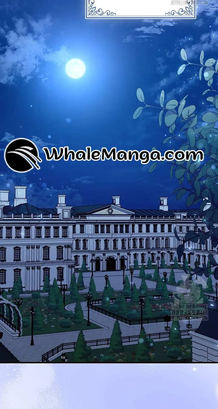 The Crazy Killer Whale’s Favourite Penguin Chapter 25 page 21 - 