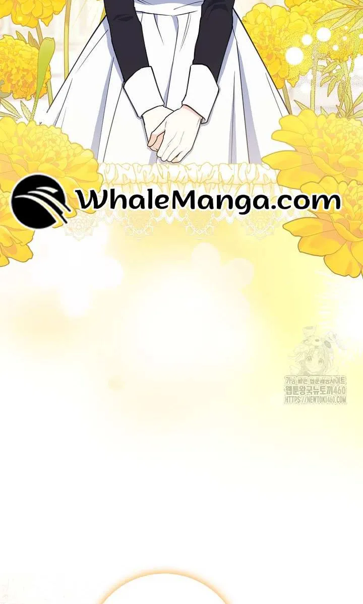 The Crazy Killer Whale’s Favourite Penguin Chapter 25 page 29 - 