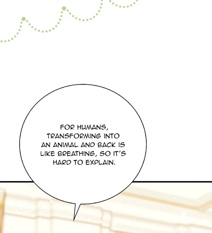 The Crazy Killer Whale’s Favourite Penguin Chapter 25 page 37 - 