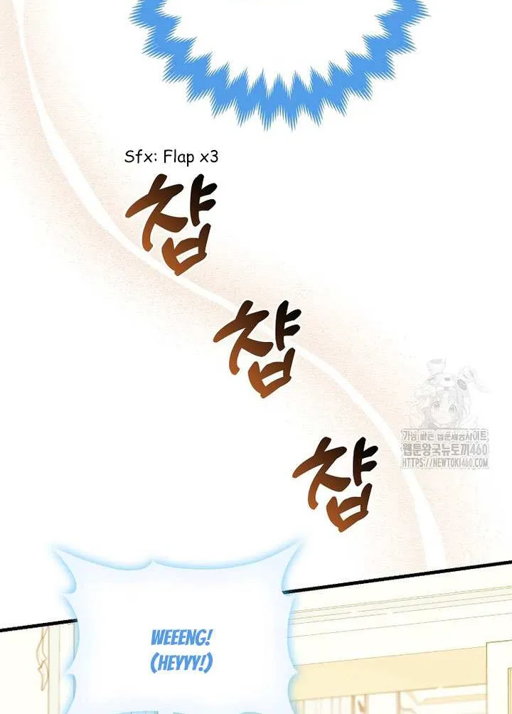 The Crazy Killer Whale’s Favourite Penguin Chapter 25 page 73 - 