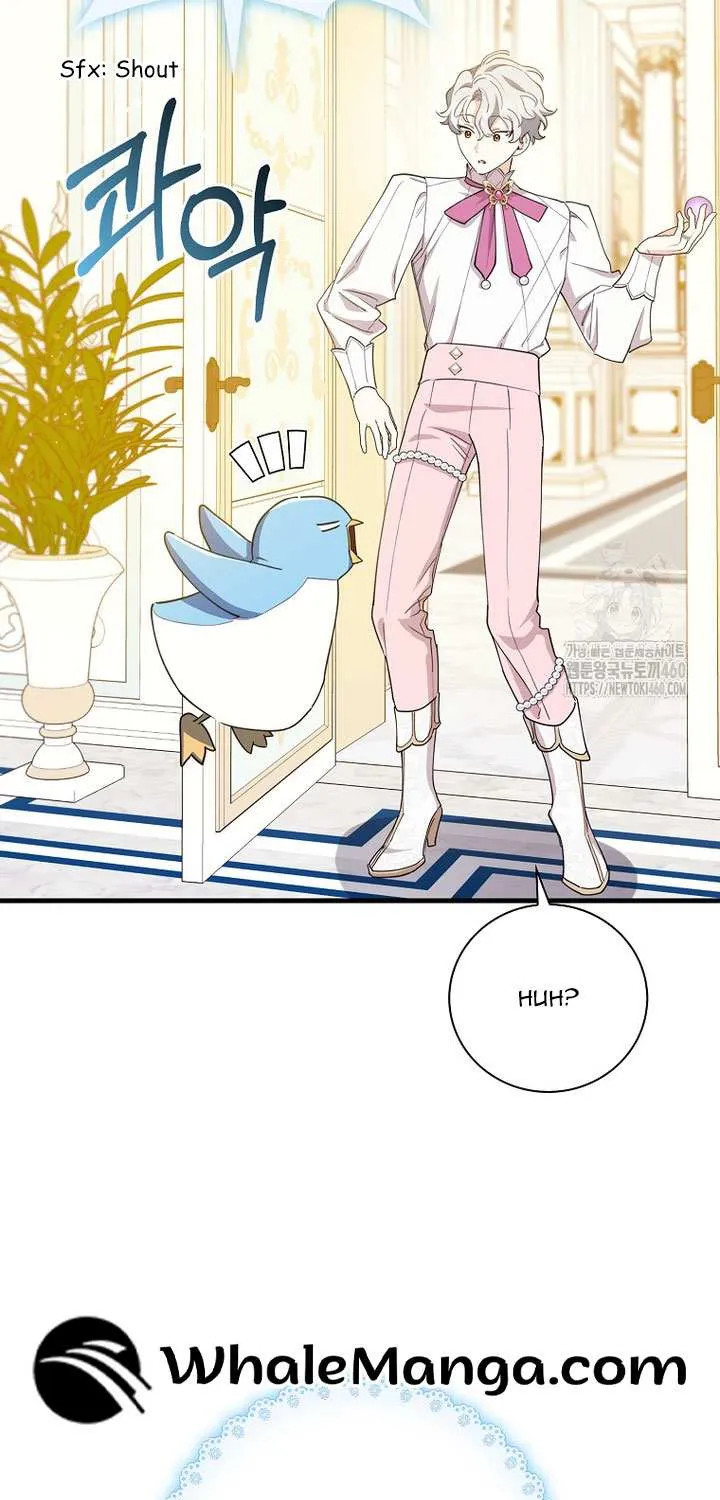 The Crazy Killer Whale’s Favourite Penguin Chapter 25 page 74 - 
