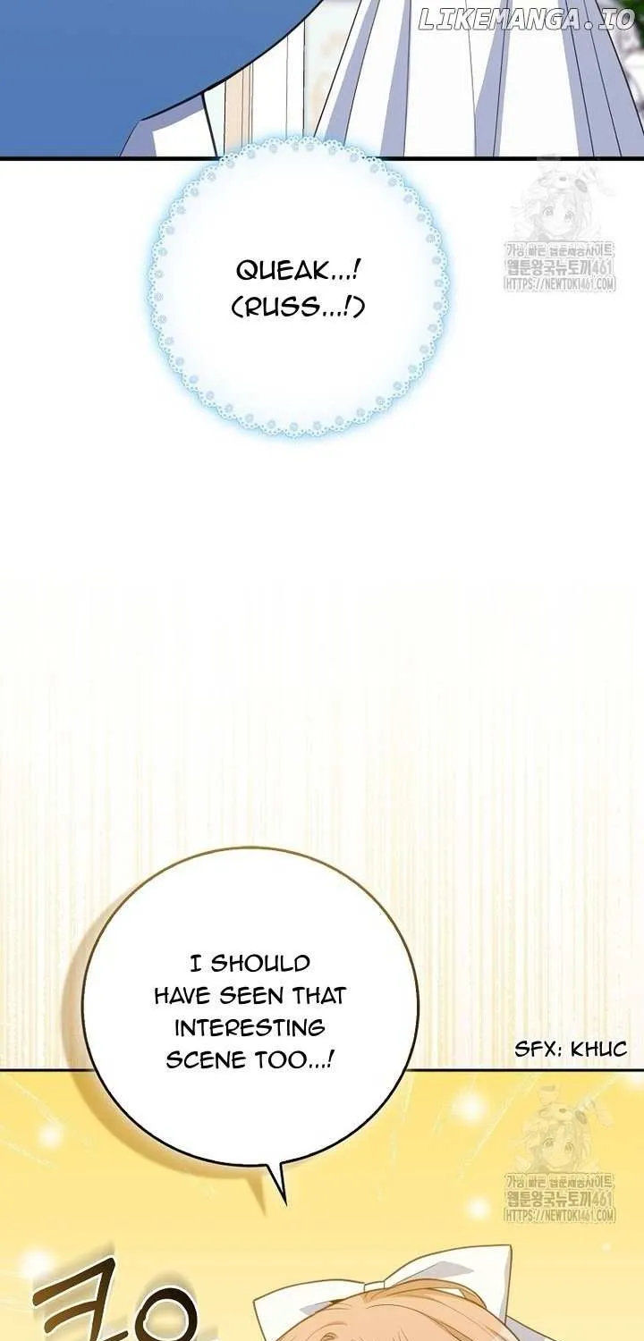 The Crazy Killer Whale’s Favourite Penguin Chapter 26 page 14 - 