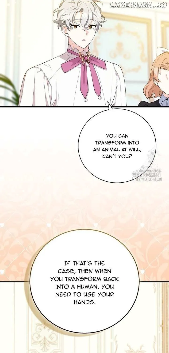 The Crazy Killer Whale’s Favourite Penguin Chapter 26 page 18 - 