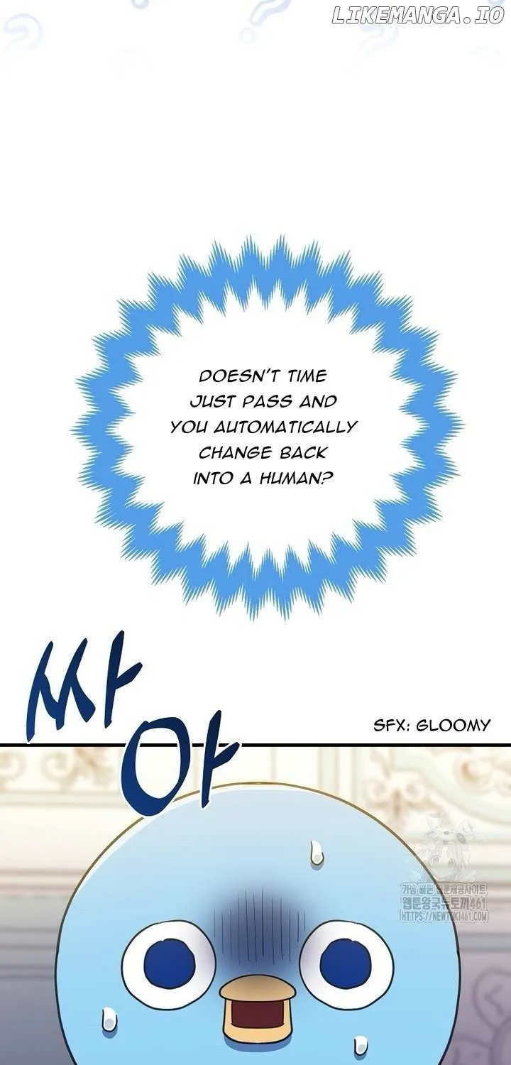 The Crazy Killer Whale’s Favourite Penguin Chapter 26 page 20 - 