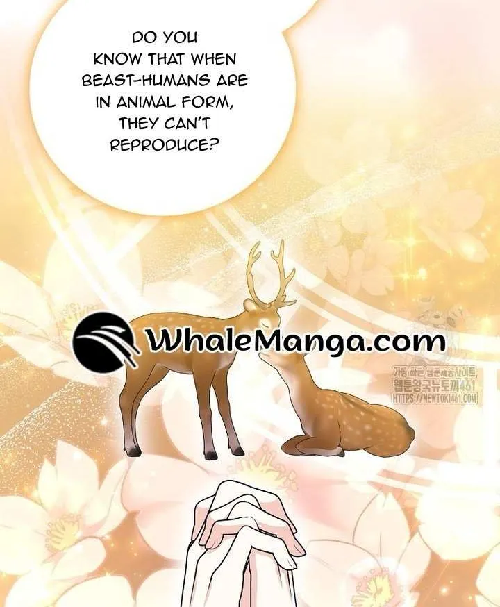 The Crazy Killer Whale’s Favourite Penguin Chapter 26 page 52 - 