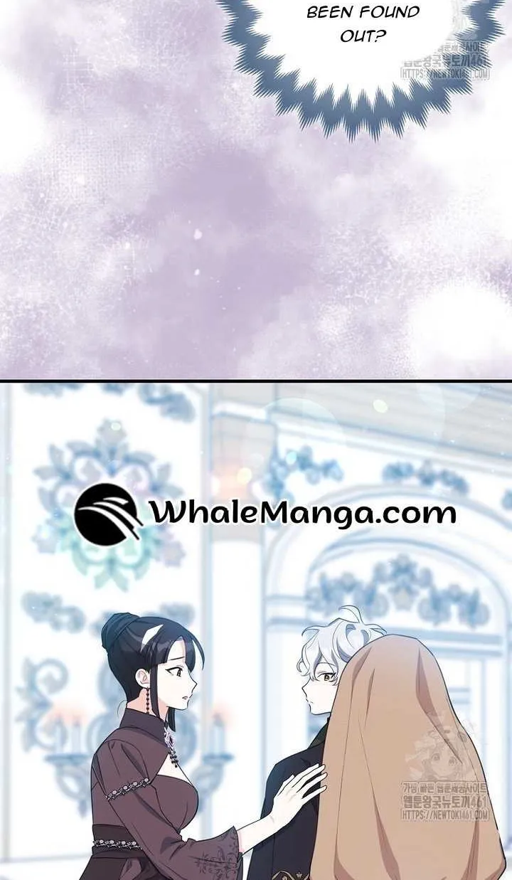 The Crazy Killer Whale’s Favourite Penguin Chapter 26 page 86 - 