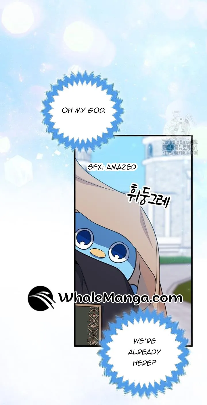 The Crazy Killer Whale’s Favourite Penguin Chapter 27 page 15 - 
