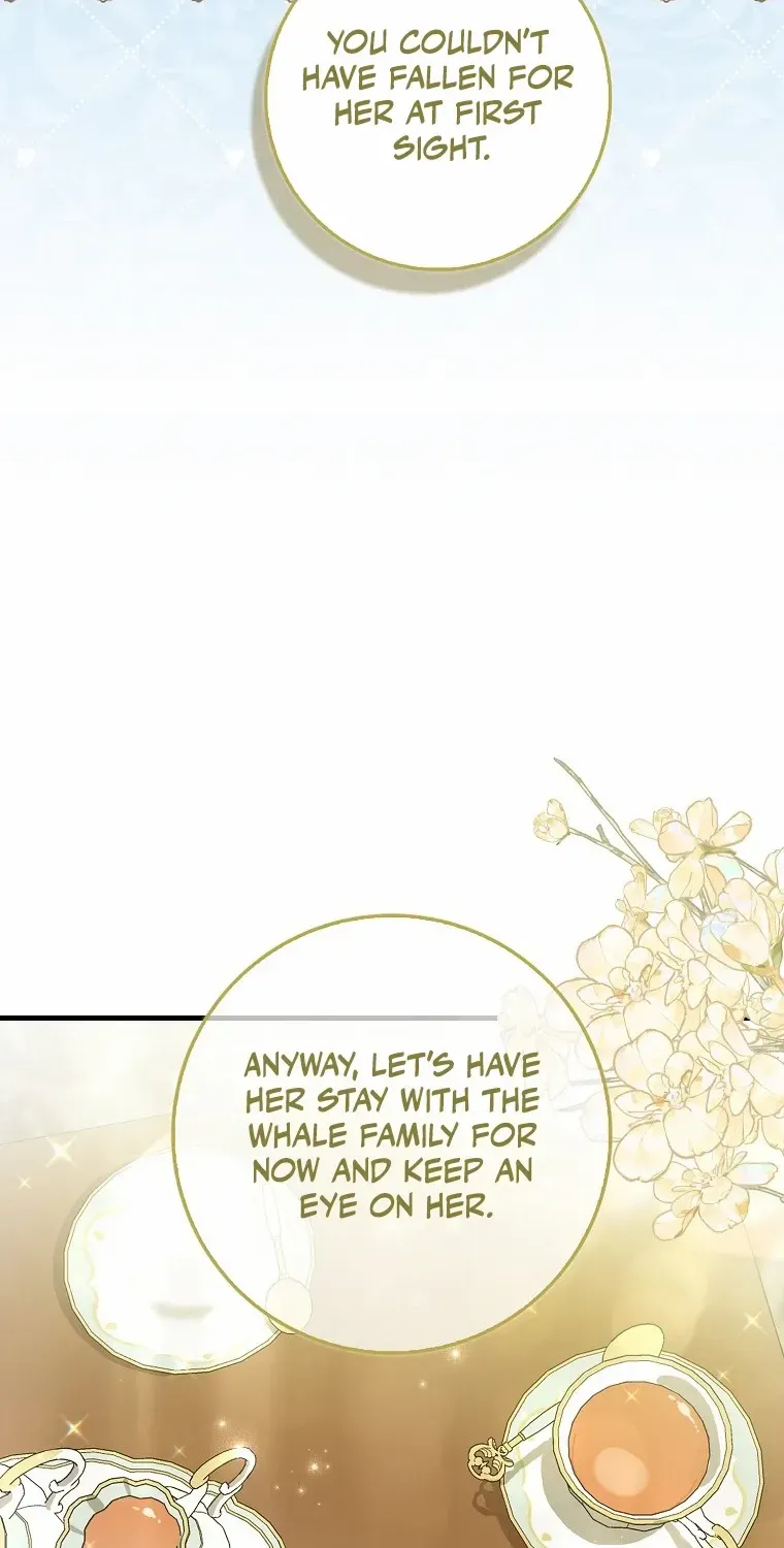 The Crazy Killer Whale’s Favourite Penguin Chapter 3 page 67 - 