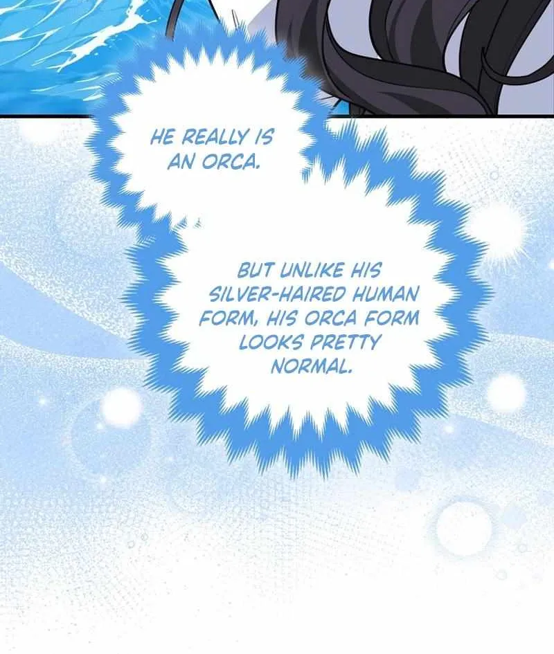 The Crazy Killer Whale’s Favourite Penguin Chapter 33 page 11 - 