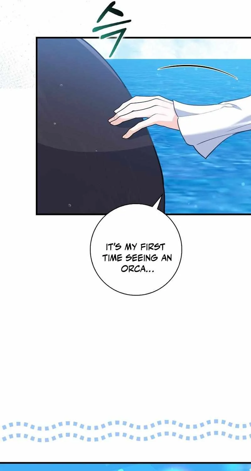 The Crazy Killer Whale’s Favourite Penguin Chapter 33 page 12 - 