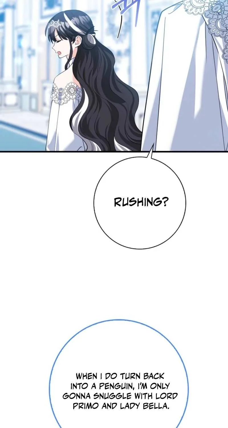 The Crazy Killer Whale’s Favourite Penguin Chapter 43 page 28 - 