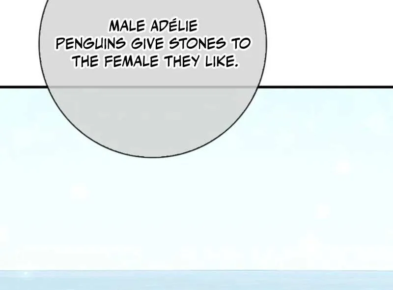 The Crazy Killer Whale’s Favourite Penguin Chapter 43 page 39 - 